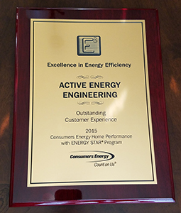Consumers Energy – Outstanding Customer Experience – 2015