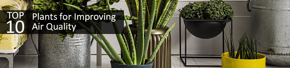 plant stand for hanging basket Hangapot™ Space Saving 5' Flower Pole on Wheels/16 Clay Pot Hangers main image 1